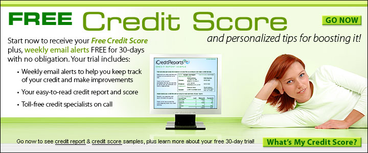 Credit Report November 2006